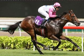 Debt Collector in Action on Sunday